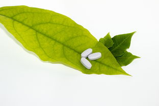 柑橘細菌性病害圖片(柑橘細菌性黃點?。? /></p><p>柑橘病害主要侵害葉片、新梢和果實,尤其對幼嫩組織有較強的侵染力。葉片染病初期呈現(xiàn)蠟黃色油漬狀斑點,隨后逐漸擴大形成灰白色至暗褐色圓錐狀瘡痂,病斑逐漸木質(zhì)化并凸起,葉背凸出,葉面凹陷(圖5-1)。新梢染病與葉片癥狀相似,呈現(xiàn)類似病態(tài)。</p><p>柑橘潰瘍病 危害特征包括葉片染?。撼跗谌~背出現(xiàn)黃色或暗黃綠色油浸狀小斑點,后葉兩面隆起,出現(xiàn)米黃色圓形病斑,不久后病斑表皮破裂成海綿狀,木栓化,淡褐色,中央灰白色,后期病部中央凹陷呈火山口狀裂開,周圍有一圈黃暈。</p><p>砂皮病,柑橘樹染病后導致枝葉凋萎或整株枯死。初期果蒂附近出現(xiàn)水漬狀、淡褐色病斑,后變?yōu)樯詈稚?,擴大到臍部,先爛果心,最后全果腐爛,故有“穿心爛”之稱,病果皮堅韌,有革質(zhì)感。</p><p>柑橘立枯病在全國柑橘種植區(qū)普遍發(fā)生,是柑橘幼苗期的重要病害。該病主要為害剛出土的幼苗,引起砧木苗大量死亡,造成缺苗,影響苗木生產(chǎn)。該病田間常見的癥狀有3種:(1)典型癥狀。病苗莖部及莖部近地面部分,出現(xiàn)褐色水漬狀病斑,后逐漸擴大,并環(huán)繞莖部縊縮腐爛。</p><h2 id='常見的14種柑橘病蟲害及其防治方法(上)'>常見的14種柑橘病蟲害及其防治 *** (上)</h2><p>1、加強栽培管理,增施有機肥和多元復合肥,避免偏施氮肥,增強樹勢。(2)加強修剪,清除病源,減少衰退枝、病蟲枝、弱枝,改善樹體通風造光條件。(3)做好抗旱、排澇和抗凍工作,避免或減輕自然災害對樹體的傷害。</p><p>2、柑橘常見病蟲害及其防治 *** 如下:常見病蟲害 潰瘍病:主要危害葉片、果實和新梢,導致葉片膨大、形成病斑,果實受損后可能脫落,枝條枯萎。結(jié)痂病:葉片上出現(xiàn)灰褐色痂樣斑點并扭曲變形,樹枝短小扭曲,幼果受損后早落、畸形。</p><p>3、柑橘瘡痂?。褐饕:θ~片、新梢和幼果,葉片易扭曲畸形,新梢則變短小且有扭曲狀,果實小且皮厚,可用70%甲基托布津800-1000倍液防治。柑橘潰瘍?。褐ι視杏蜐n狀小圓點,發(fā)病嚴重時易枯死,可用乙酸銅防治。</p><p>4、柑橘紅蜘蛛當柑橘每葉有蟲6頭時應噴藥防治,可選用礦物油乳油200~ *** 倍液、0%阿維菌素乳油1000~1500倍液等噴霧防治。柑橘潛葉甲該蟲一年發(fā)生1代,春梢期是為害盛期,也是防治主要時期。</p><p style=