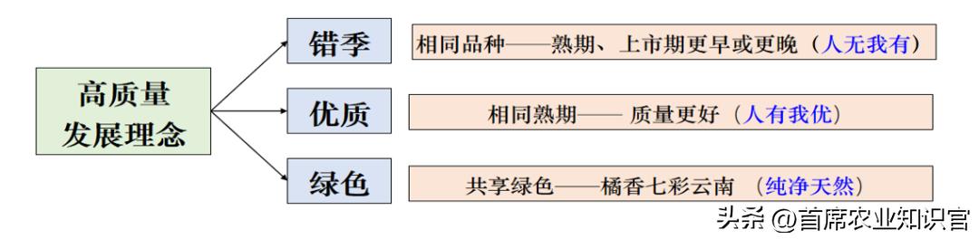 柑橘錯(cuò)季新品種介紹_種植紅薯能夠套種些什么到達(dá)增收