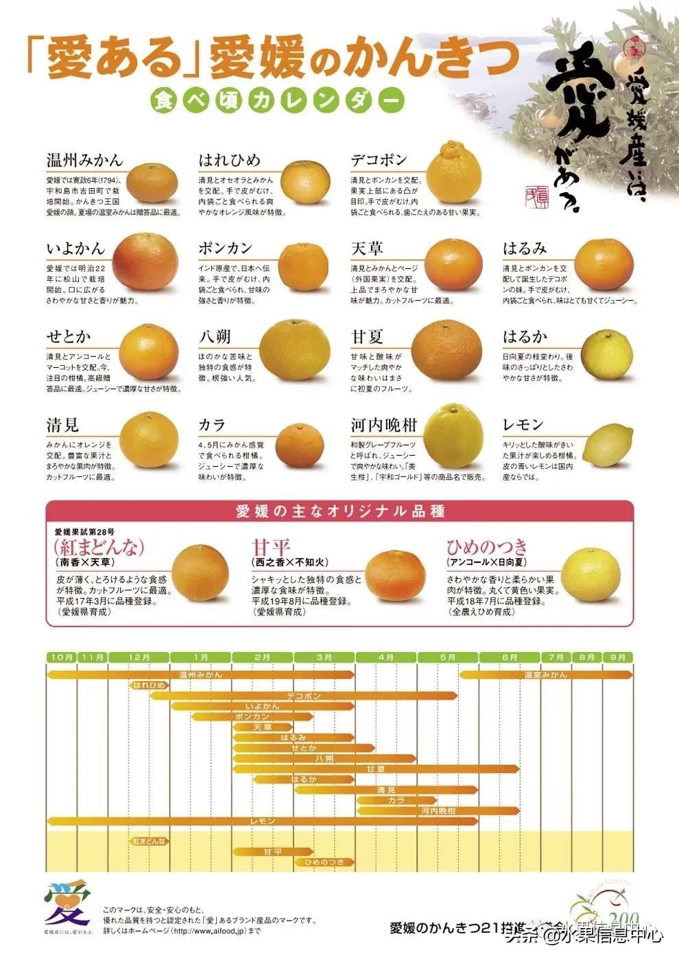 象山柑橘最新品種_象山秋季特產